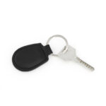 Pelcu - Image 2