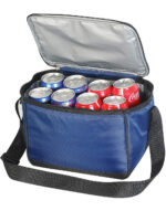 Woodstock Cooler Bag - Image 2