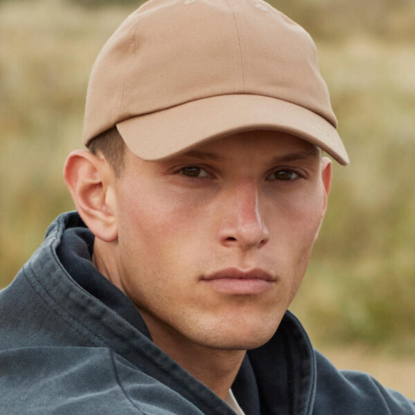 Organic Cotton 6 Panel Dad Cap